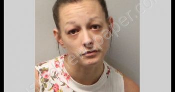 BRIGGS, CHELSEA LYNNE | 2019-06-07 Leon County, Florida Booking