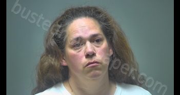 LISA MARIE BASSETT | 2019-06-07 12:04:00 Isabella County, Michigan Booking