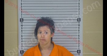 BRITTANY N SAMMONS | 2019-06-07 12:01:00 Taylor County, Kentucky Booking
