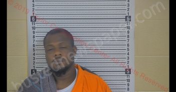 ANTOINE E BROWN | 2019-06-08 04:21:00 Taylor County, Kentucky Booking