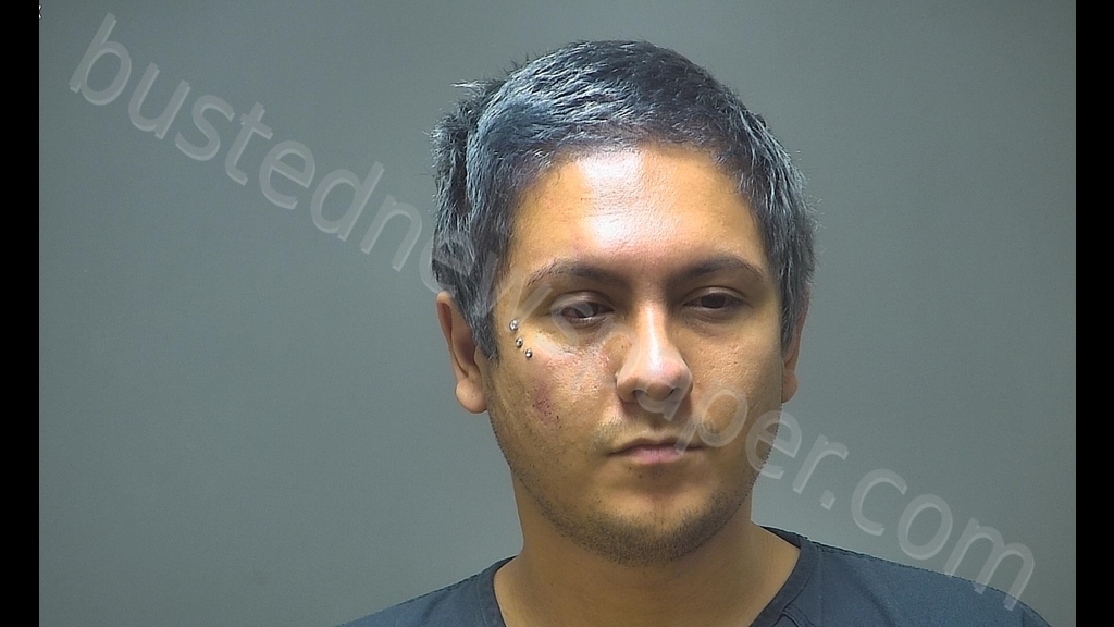 JOSEPH JOSHUA PALACIOS #, Isabella County, Michigan - 2019-06-08 09:03:00