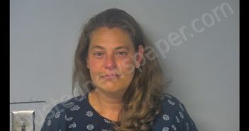 NATALIE BUDNER SCHRINER | 2019-06-08 05:04:00 Virginia Peninsula Regional Jail, Virginia Booking