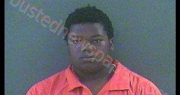 MARCUS ANTONIO BROOKS | 2019-06-09 17:30:00 Laporte County, Indiana, La Porte County, Indiana Booking