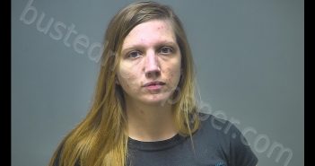 SARAH ANN-MARIE SEARLE | 2019-06-09 08:28:00 Isabella County, Michigan Booking