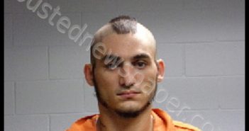 <B>REEVES</B>, <B>AARON</B> <B>CECIL</B> #, Polk County, Texas - 2019-06-09 02:14:00