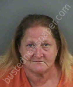 HARBESTER,PATRICIA | 2019-06-10 Collier County, Florida Booking