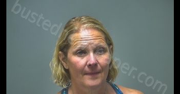 LORI ANN ALTHOFF | 2019-06-10 20:52:00 Isabella County, Michigan Booking