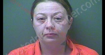 HEATHER MARLENE FELTON | 2019-06-10 08:46:00 Laporte County, Indiana, La Porte County, Indiana Booking