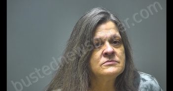 ELIZABETH RUTH BERRIAN | 2019-06-10 18:04:00 Isabella County, Michigan Booking