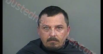 THOMAS EDWARD BRITT | 2019-06-11 15:53:00 Anderson County, South Carolina Booking