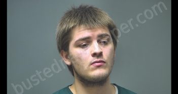 TARON ALLEN HARRIS | 2019-06-11 21:08:00 Isabella County, Michigan Booking
