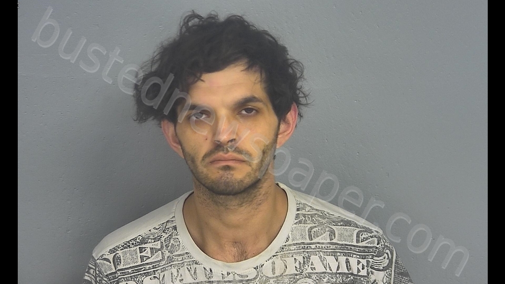 JESSE RAY TAYLOR #, Greene County, Missouri - 2019-06-11 04:52:00