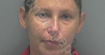 HRZENAK, SHARLA RENEE | 2019-06-11 14:53:00 Lee County, Florida Booking