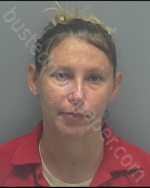 HRZENAK, SHARLA RENEE #, Lee County, Florida - 2019-06-11 14:53:00