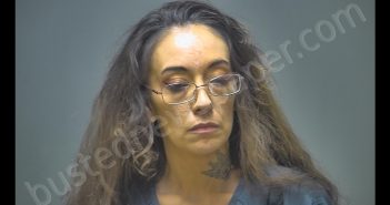 LETISIA MONICA-MARIE WELLS | 2019-06-11 20:40:00 Isabella County, Michigan Booking