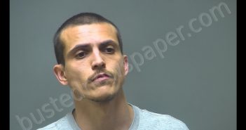 ANTONIO MANUEL LOPEZ | 2019-06-12 02:28:00 Isabella County, Michigan Booking