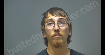 TYLER LEE MARTINEZ | 2019-06-12 01:24:00 Isabella County, Michigan Booking
