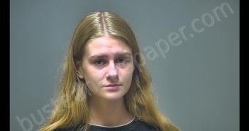 KAYLEE RAE OVERFIELD | 2019-06-12 15:10:00 Isabella County, Michigan Booking