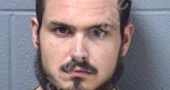 ORTELLI, MICHAEL PETER | 2019-06-13 01:33:00 Will County, Illinois Booking