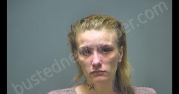 ALYSSA LYNN MOREEN | 2019-06-13 14:23:00 Isabella County, Michigan Booking