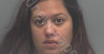 NEELY, ANGELICA DANIELLE | 2019-06-13 09:28:00 Lee County, Florida Booking