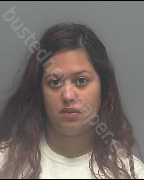 NEELY, ANGELICA DANIELLE #, Lee County, Florida - 2019-06-13 09:28:00