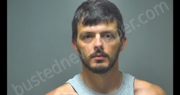 TRENTON DAVID-EUGENE STALLINGS | 2019-06-13 09:14:00 Isabella County, Michigan Booking