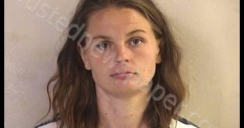 HULSE, TIFFINY DANIELLE | 2019-06-13 17:09:00 Dickinson County, Kansas Booking