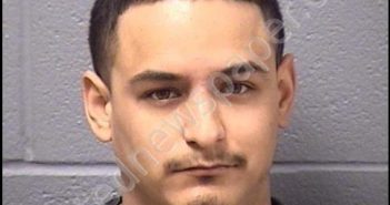 GONZALEZ, ALEXIS | 2019-06-13 23:37:00 Will County, Illinois Booking