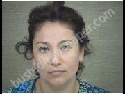 REYNA, BLANCA | 2019-06-13 Harnett County, North Carolina Booking