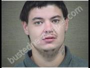 LEWIS, MICHAEL | 2019-06-13 Harnett County, North Carolina Booking
