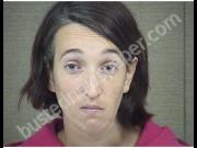 WILLIS, CHRISTINA | 2019-06-13 Harnett County, North Carolina Booking