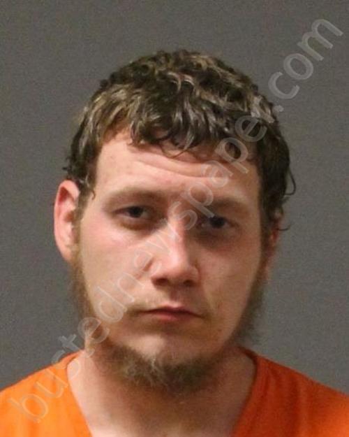 CARR, SEAN DANIEL #, Shelby County, Ohio - 2019-06-14 14:00:00