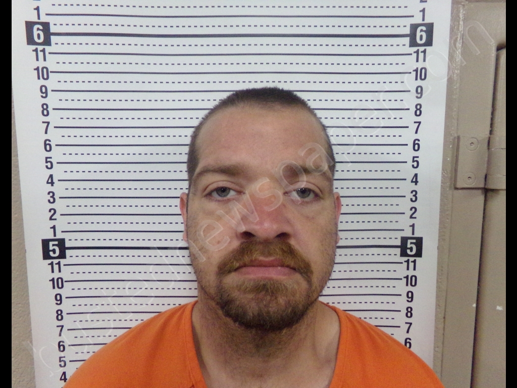 MICHAEL DAVID MAGLONE #, Scott County, Missouri - 2019-06-14 13:29:00