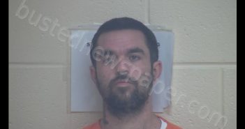 ZACHERY LELAN CLEVENGER | 2019-06-14 03:37:00 Webster County, Kentucky Booking