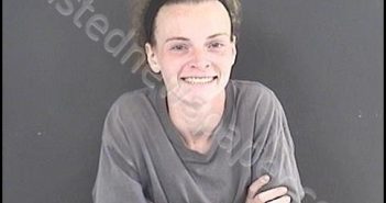 ADKINS, RAVEN NICOLE | 2019-06-14 03:17:00 Roanoke County, Virginia Booking
