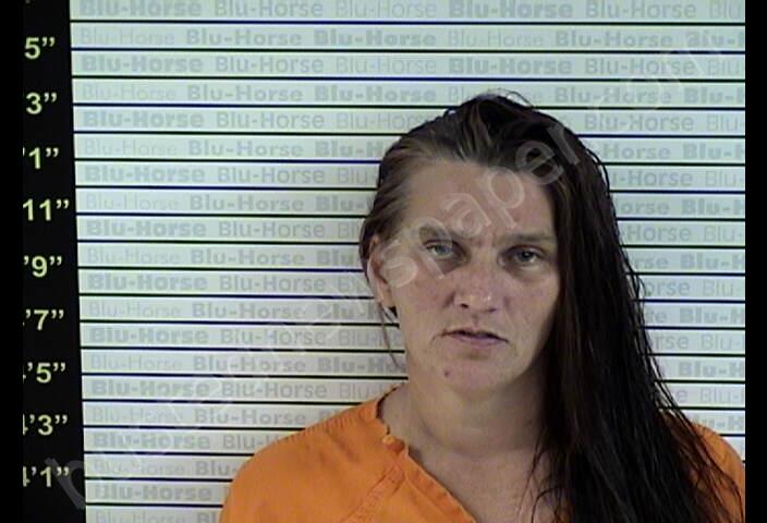 TYNES, LISA MARIE #, Graves County, Kentucky - 2019-06-14 21:08:00