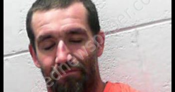 WADDELL, JULIAN NICHOLAS | 2019-06-14 06:30:00 Pocahontas County, West Virginia Booking