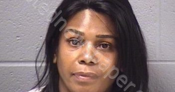 NELSON, ELIA N | 2019-06-15 02:24:00 Will County, Illinois Booking