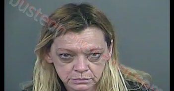 DONNA RENEE POSEY | 2019-06-15 22:39:00 Anderson County, South Carolina Booking