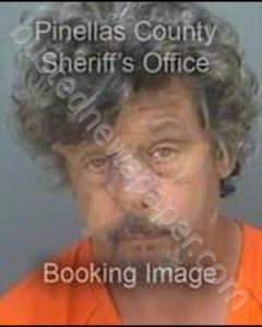 BROWN, RONALD J | 2019-06-16 02:09:22 Pinellas County, Florida Booking