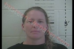 AMBER LEA BOSARGE | 2019-06-16 13:56:00 Hancock County, Mississippi Booking