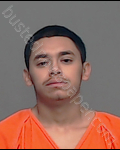 MYKAH SALDIVAR #, Tom Green County, Texas - 2019-06-16 02:12:00