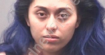 AMADOR SANCHEZ, YUKUSBETH | 2019-06-16 Alamance County, North Carolina Booking