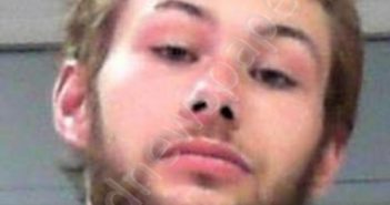 HESSON, JOSEPH DEXTER | 2019-06-16 02:40:00 Wood County, West Virginia Booking