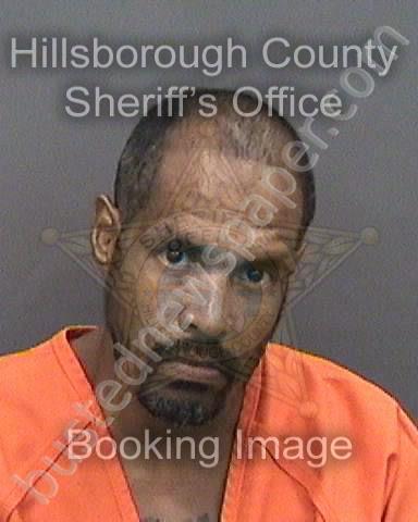 SARDA, SANDRO LOUIS #, Hillsborough County, Florida - 2019-06-16 20:30:00