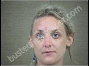 CUMMINS, DYLAN | 2019-06-17 Harnett County, North Carolina Booking
