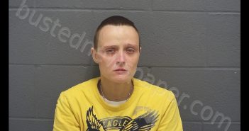 SHWANA MARIE HARPER | 2019-06-17 11:15:00 Montgomery County, Indiana Booking