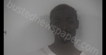 AMAUD BROWN | 2019-06-17 16:40:00 Western Tidewater, Virginia Booking