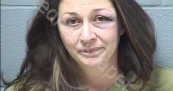 TINCHER, LAUREN M | 2019-06-17 04:45:00 Will County, Illinois Booking